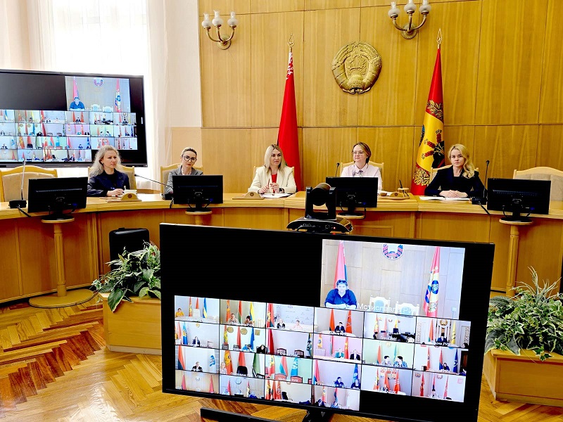 Применение ТБД «Нормотворчество» в работе практикующих юристов обсудили на семинаре в Могилеве