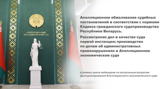 Апелляционное обжалование судебных постановлений в соответствии с нормами Кодекса гражданского судопроизводства Республики Беларусь